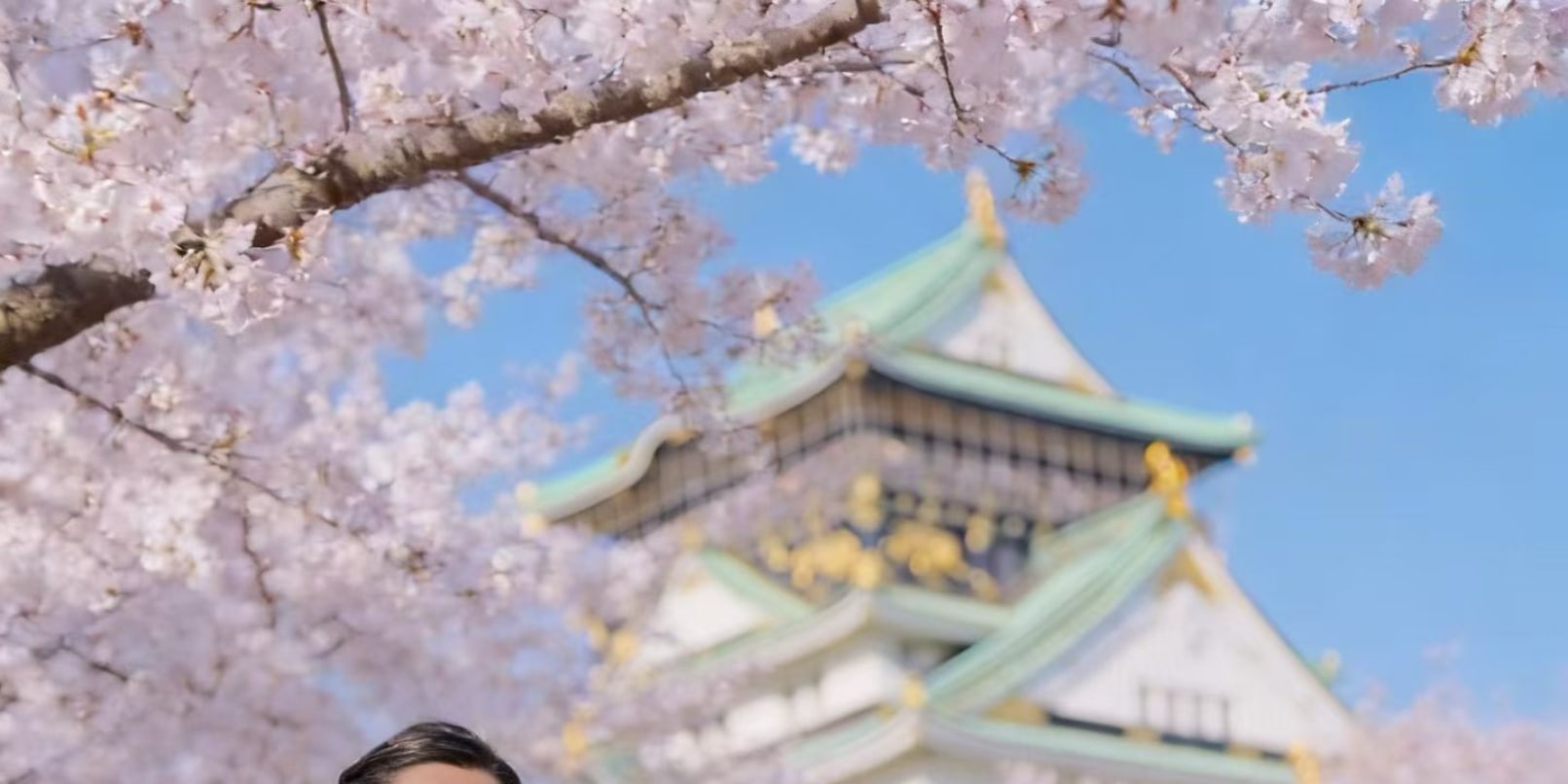 Osaka Castle Park/Shinsaibashi/Yasaka Shrine Photoshoot Experience - Thumbnail 8