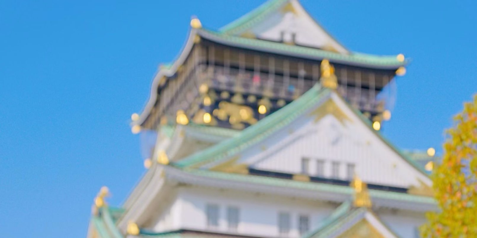 Osaka Castle Park/Shinsaibashi/Yasaka Shrine Photoshoot Experience - Thumbnail 5