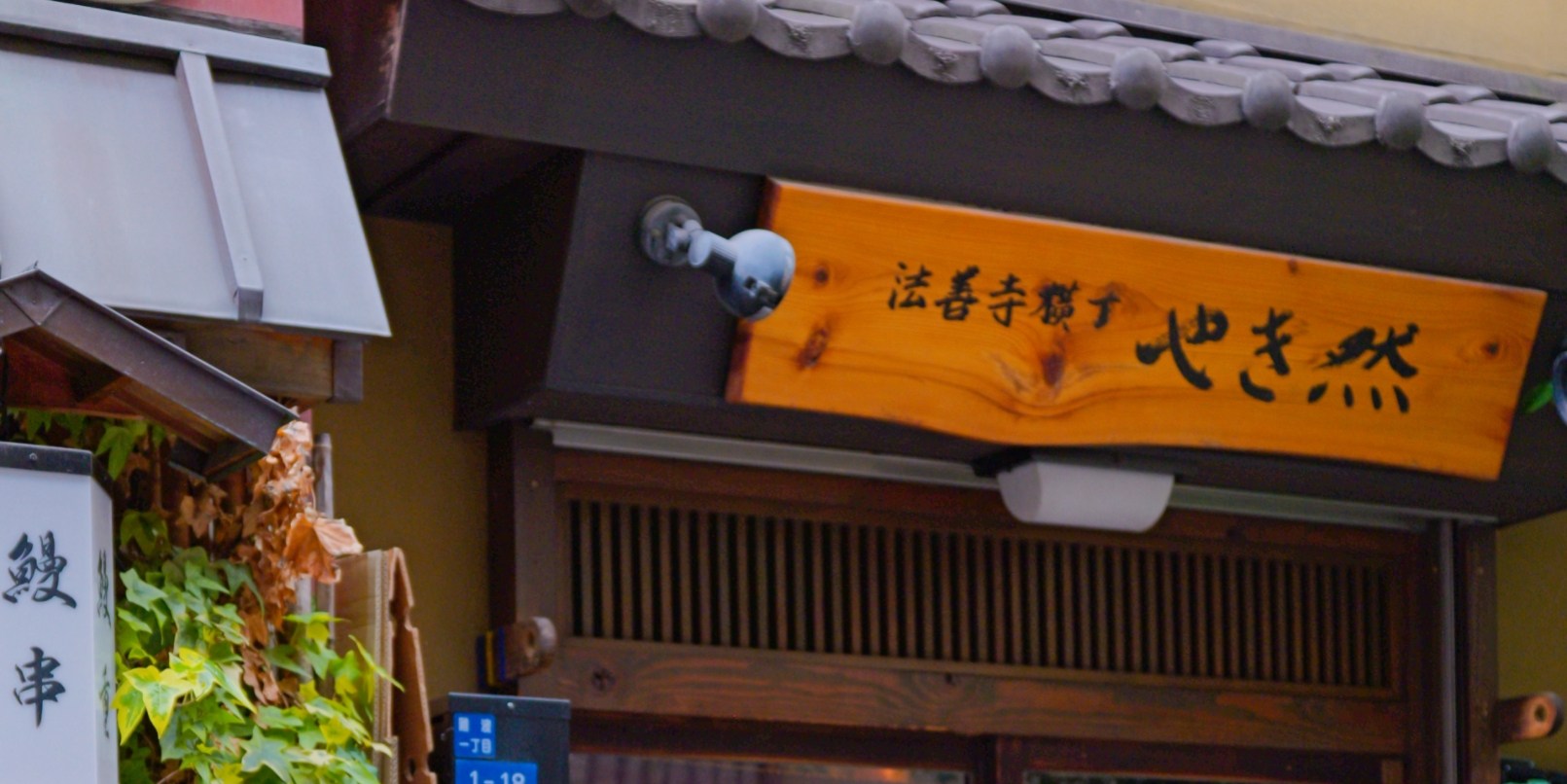 Osaka Castle Park/Shinsaibashi/Yasaka Shrine Photoshoot Experience - Thumbnail 11