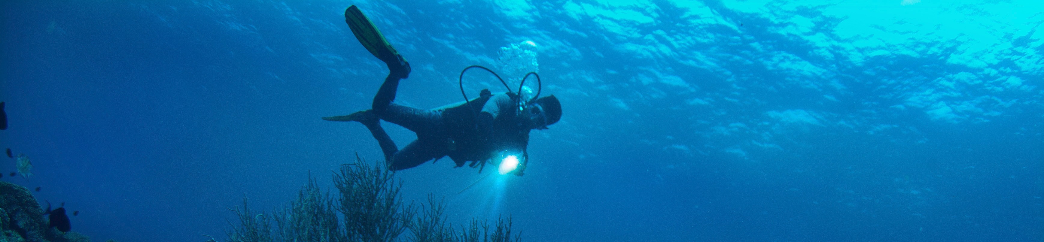 內格羅斯島 PADI 五星潛水中心初學者潛水課程