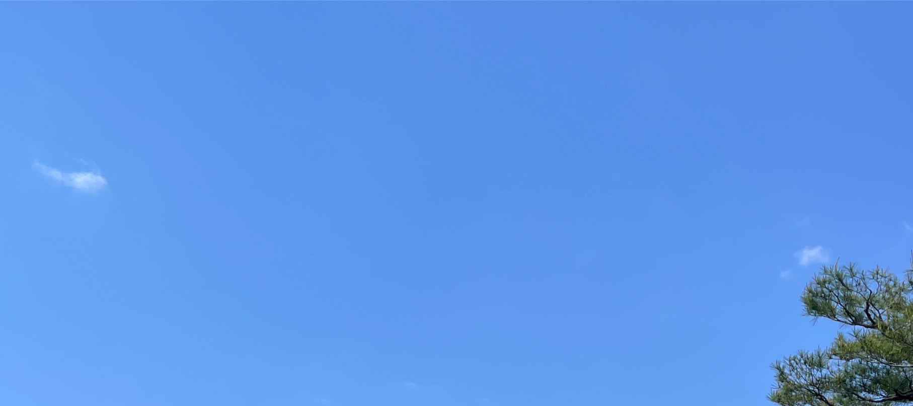 京都一日遊：永恆的地標和隱藏的瑰寶