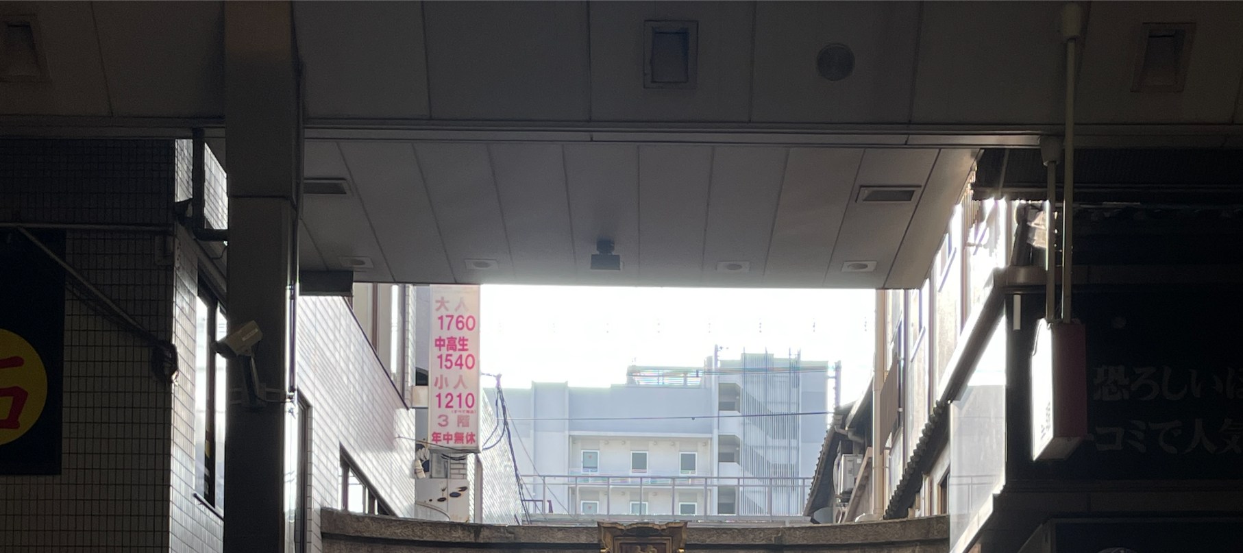 京都一日遊：永恆的地標和隱藏的瑰寶