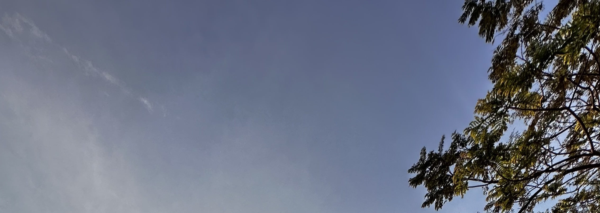 榜鵝日出騎行