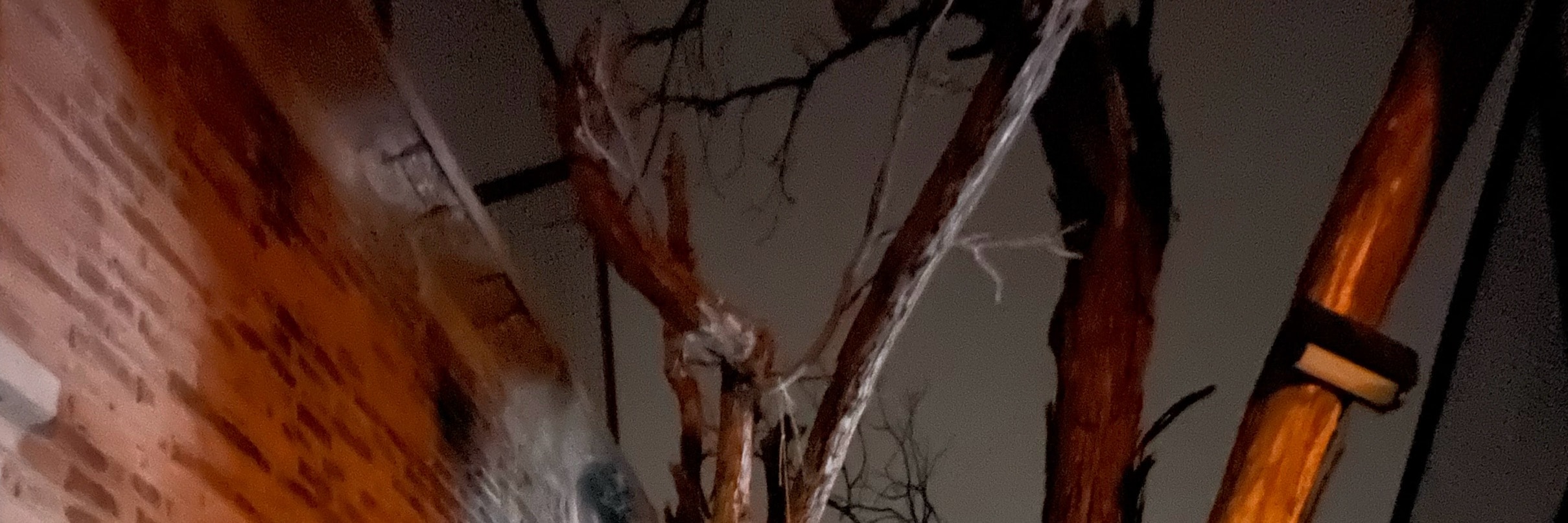 Tipsy Travel: Beijing Hutong Night Exploration Food and Wine Tour