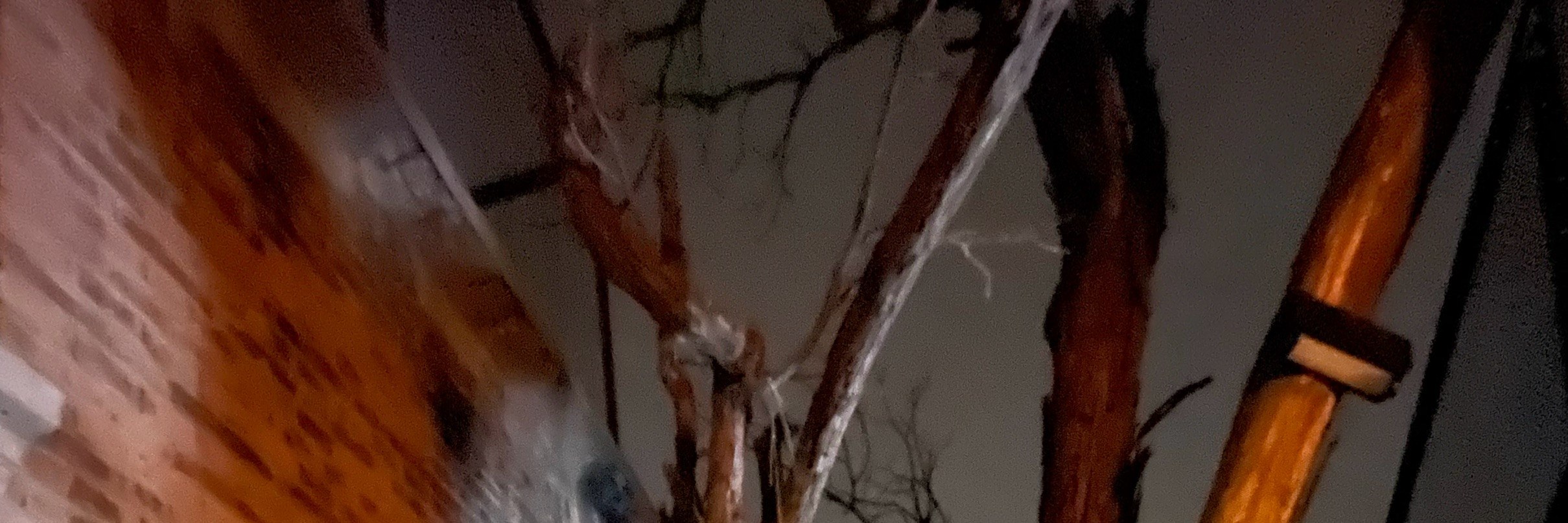Tipsy Travel: Beijing Hutong Night Exploration Food and Wine Tour