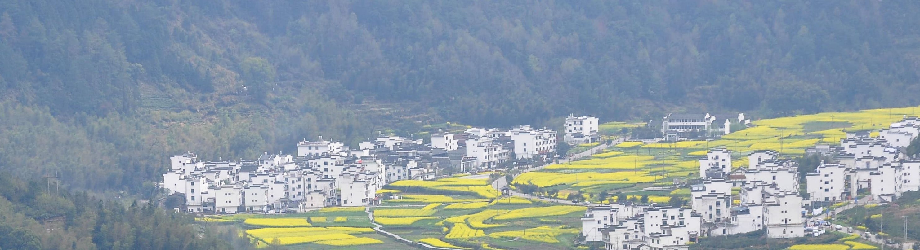 【春季限定油菜花】江西上饒婺源徽派歷史古村落1日遊（漫山遍野的婺源油菜花+眾多的明清古建築+千年古村）