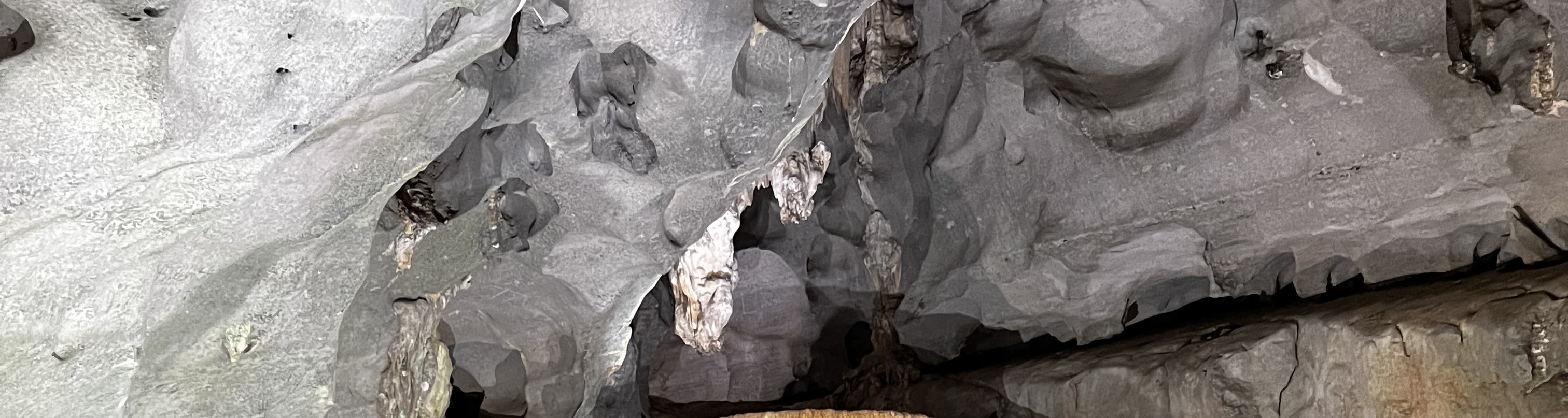 黑洞（Dark Cave）& 峰牙洞（Phong Nha Cave）一日遊