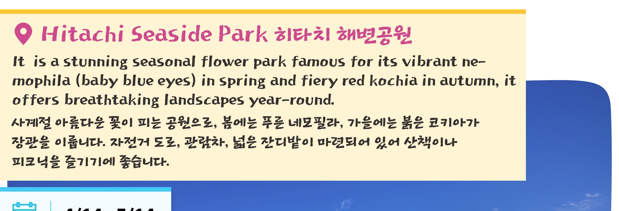 季節限定: 國營常陸海濱公園 & 足利花卉公園一日遊 (東京出發)