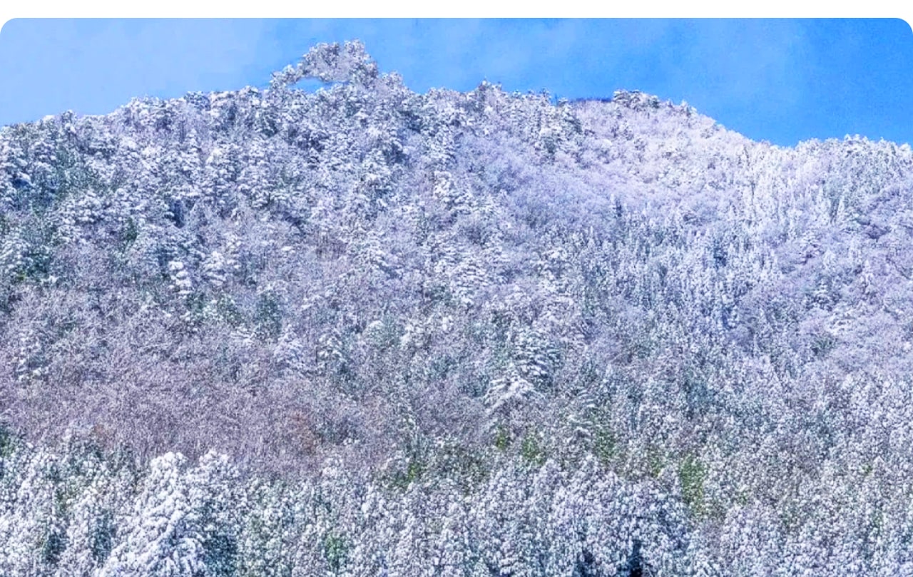 白雪覆頂、燈火搖曳,美山冬燈廊以溫柔光影描繪出京都冬夜最浪漫的詩篇。 白雪覆頂、燈火搖曳,美山冬燈廊以溫柔光影描繪出京都冬夜最浪漫的詩篇。