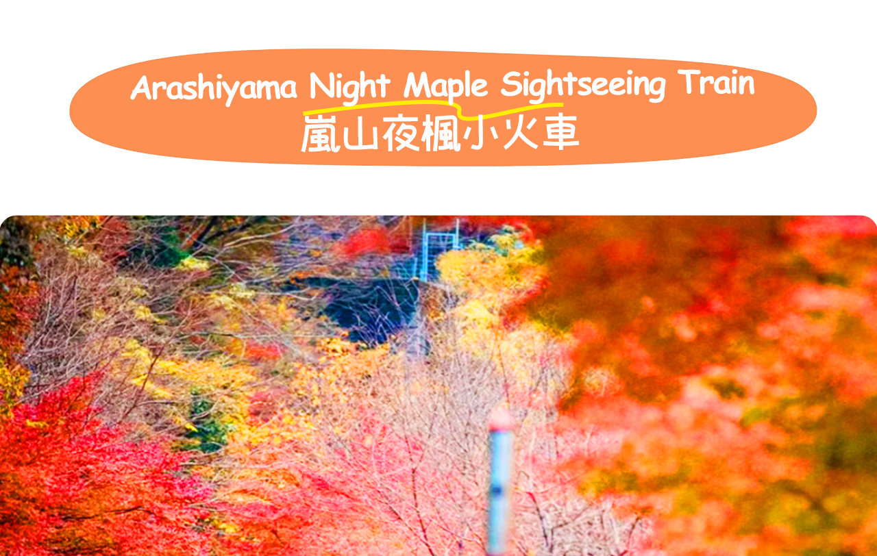 Kyoto Dream Illumination Autumn Foliage Day Tour - Kinkaku-ji & Arashiyama (Includes Night Maple Train - Departing from Osaka/Kyoto) - Thumbnail 11