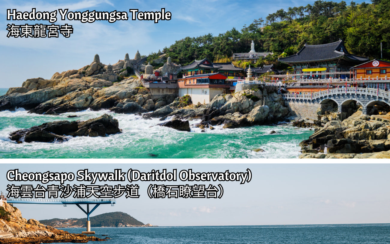 Busan & 海雲台藍線公園導覽一日遊