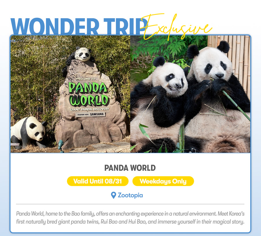 Everland Day Tour: Priority Entry (Till 31/5) + Optional Meal Coupon