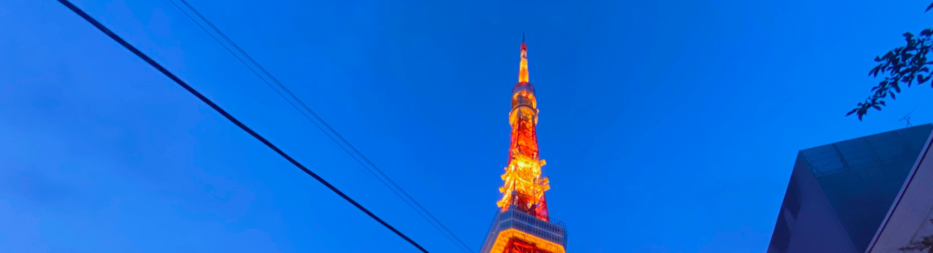 東京隱藏景點 2 小時霓虹燈自行車之旅