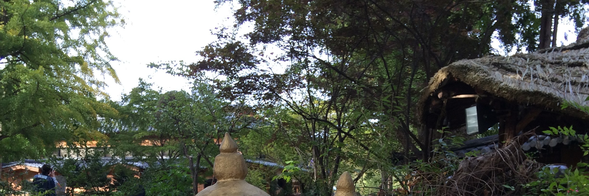 雪嶽山／纜車／草泥馬樂園／鐵道自行車／晨靜樹木園之旅