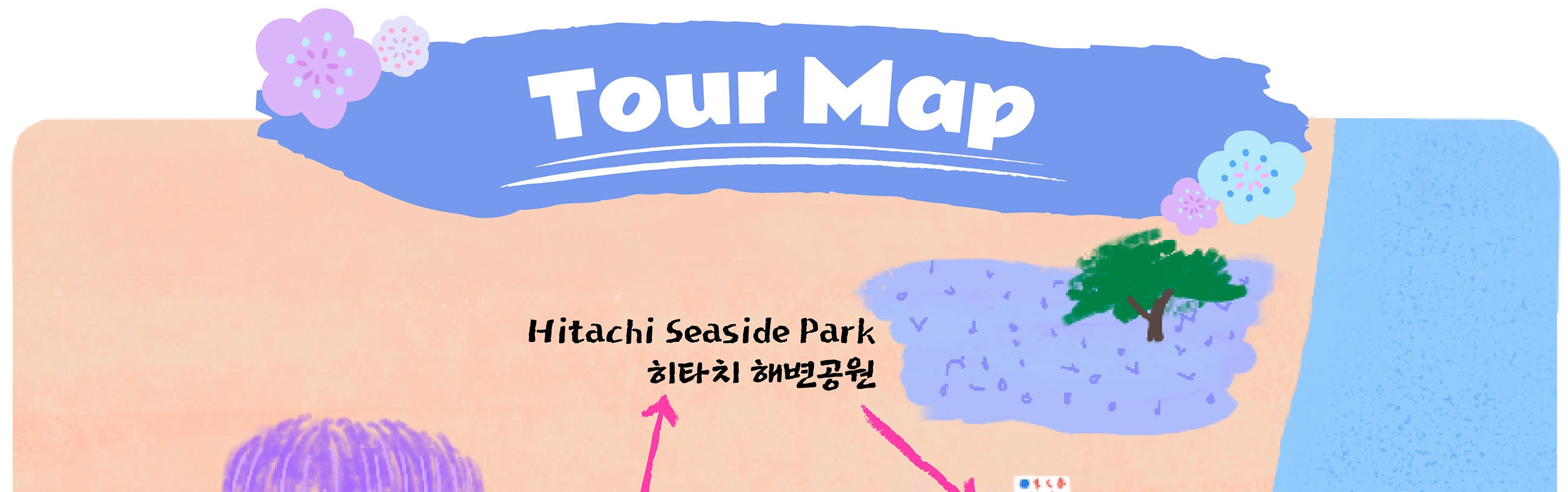 季節限定: 國營常陸海濱公園 & 足利花卉公園一日遊 (東京出發)