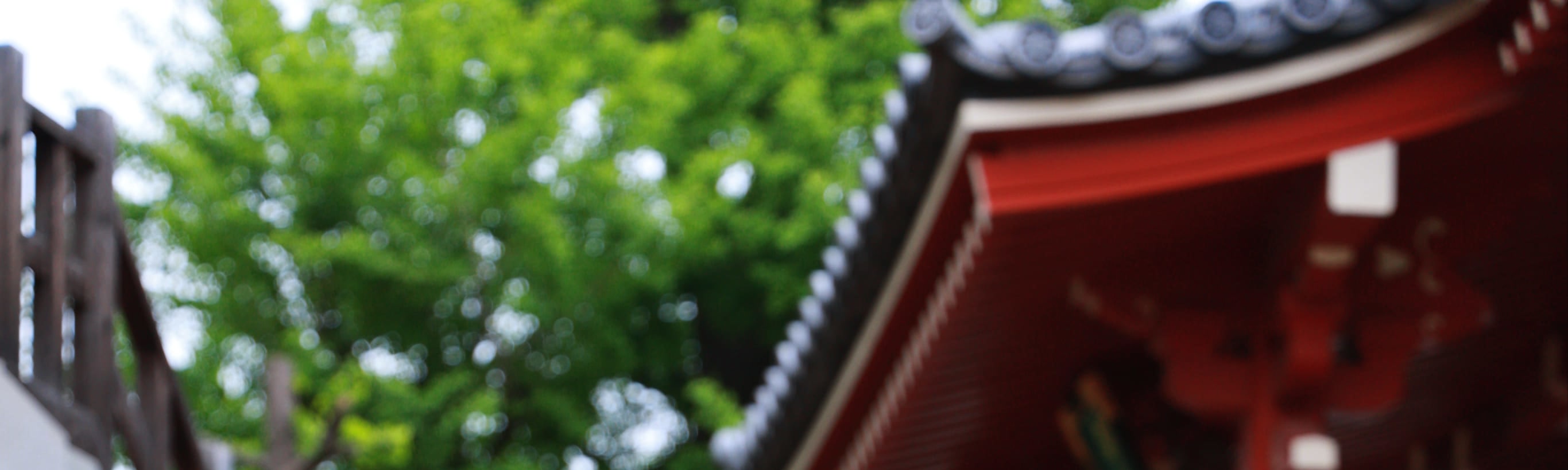 Asakusa Kimono Rental OSHARE Japanese Makeup & Tea Ceremony Experience Open until 10 PM - Thumbnail 31
