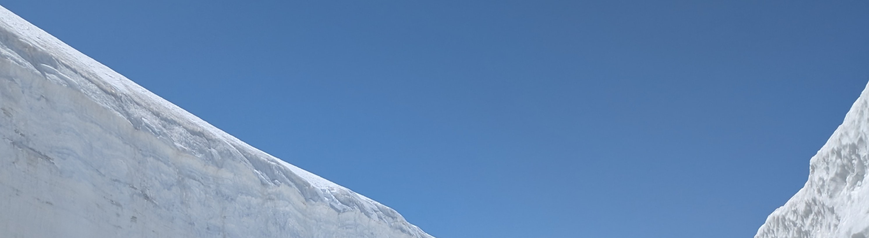 1 Day Tour from Kanazawa & Toyama: Snow Wall and Mysterious Valley