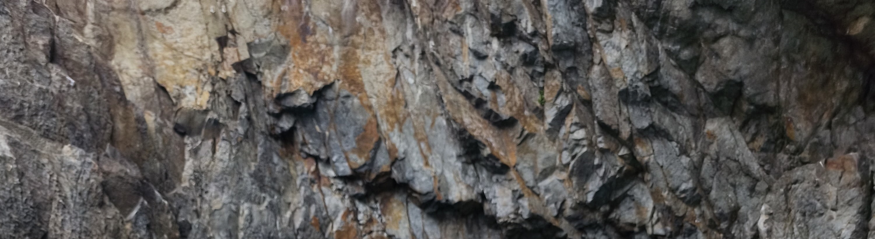 香港東龍島獨木舟探索特色洞穴生態團