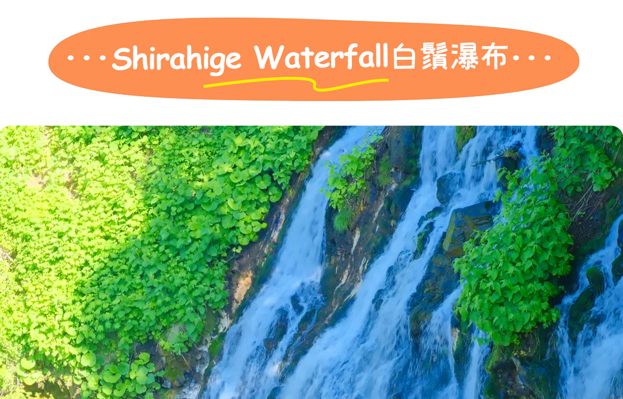 北海道白鬚瀑布以如白絲般飛流直下的瀑布景觀著稱，冬季還會被冰雪覆蓋，呈現宛如冰雕的美麗景緻。