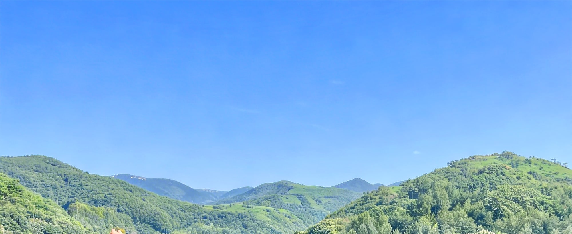 長泰山以其迷人的風景而聞名,是拍攝令人驚嘆照片的熱門地點。 長泰山以其迷人的風景而聞名,是拍攝令人驚嘆照片的熱門地點。