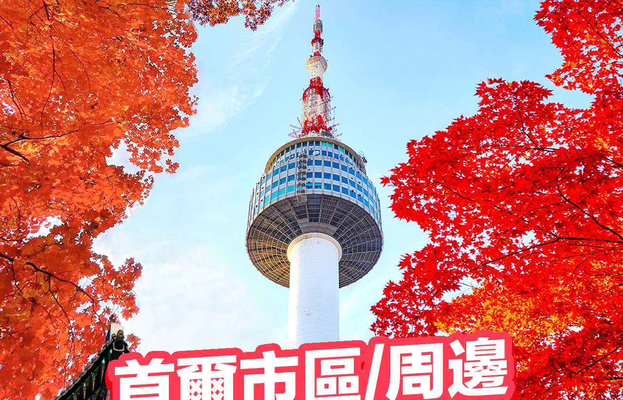 首爾包車（含司機）前往愛寶樂園 / 南怡島 / 羊駝樂園 / 江村鐵路公園 / 維瓦爾第公園