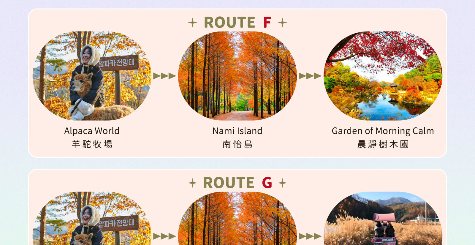 非常適合家庭、情侶、朋友或獨自旅行者，他們希望充分利用在城市郊外的一天——而無需規劃的壓力！