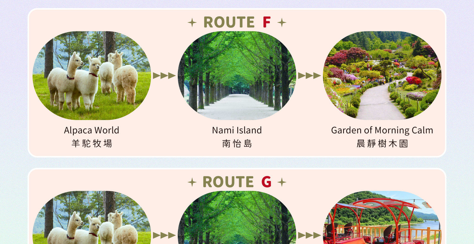 羊駝牧場 / 南怡島 / 江村鐵路自行車 / 晨靜樹木園 / 樂高樂園 /  秋海棠鳥園