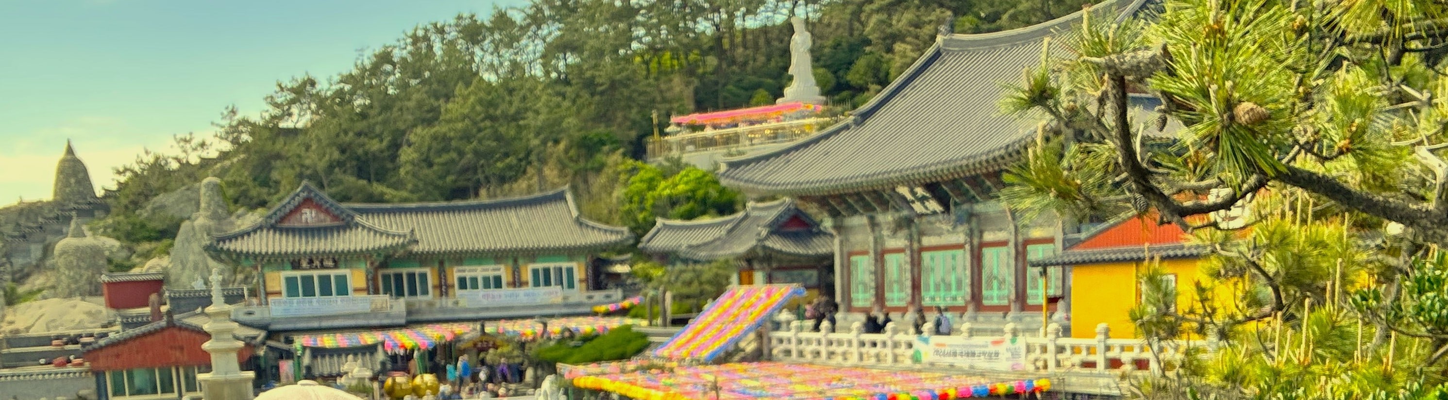 釜山小團一日遊（最多6人）