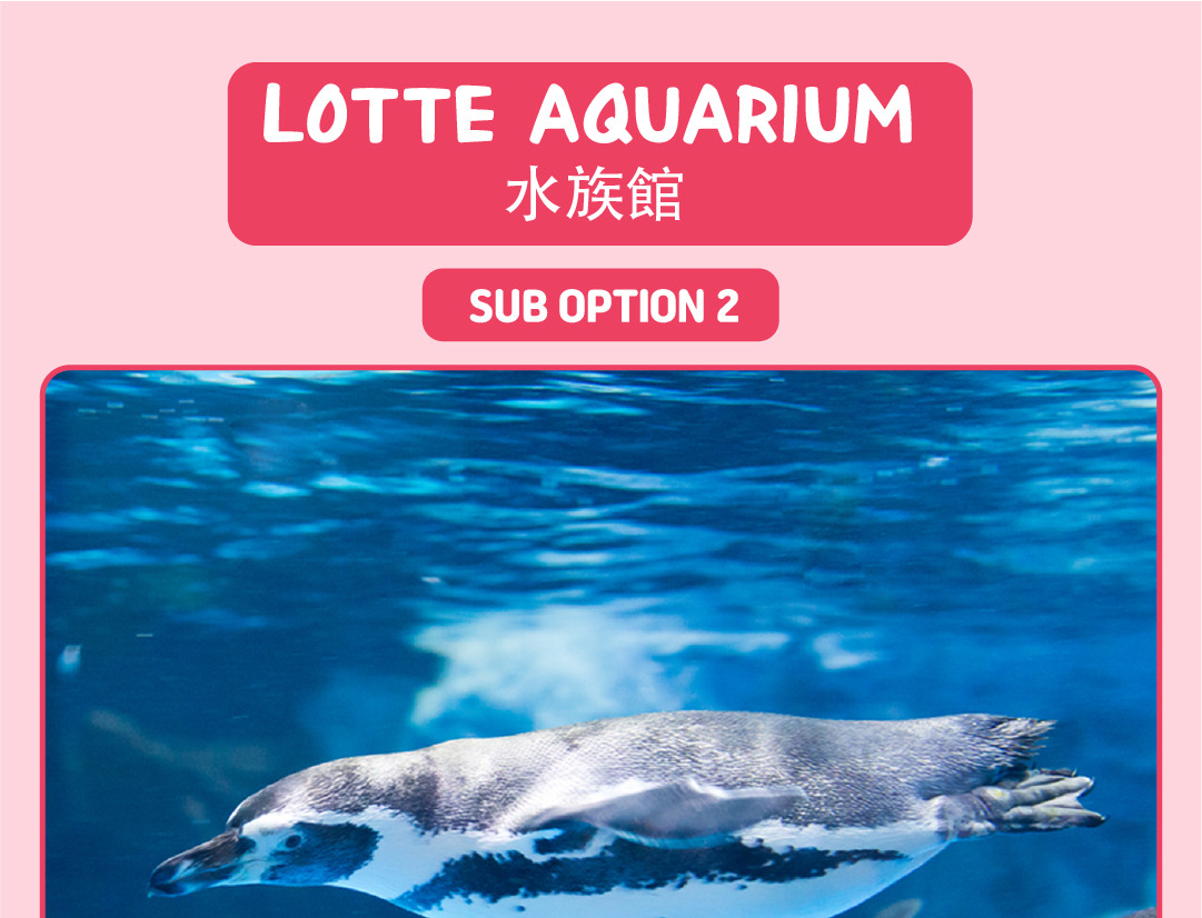 南怡島 & 樂天世界一日遊（含免費餐券和禮品）