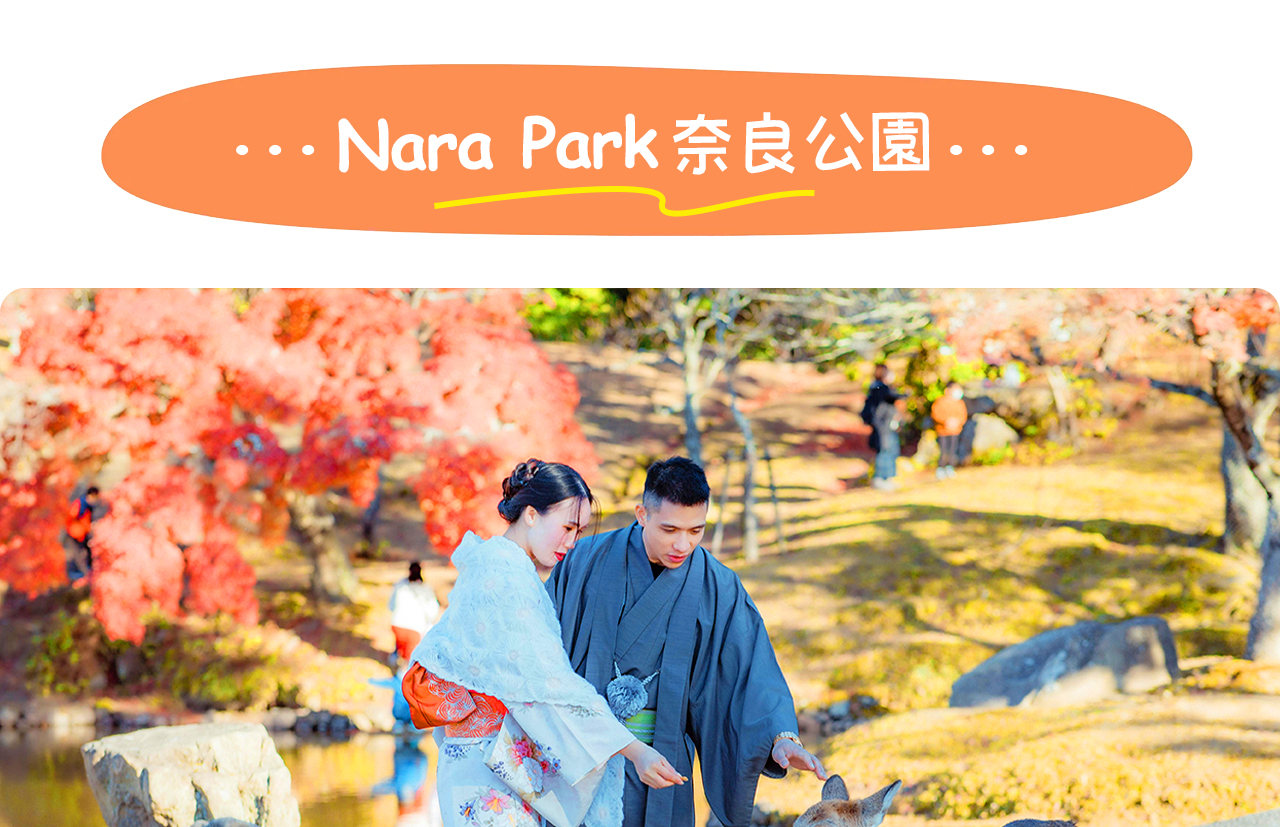 奈良公園是人與鹿和諧共處的天然樂園,彙集東大寺、春日大社等名勝,漫步其間盡享古都寧靜與自然之美。 奈良公園是人與鹿和諧共處的天然樂園,彙集東大寺、春日大社等名勝,漫步其間盡享古都寧靜與自然之美。