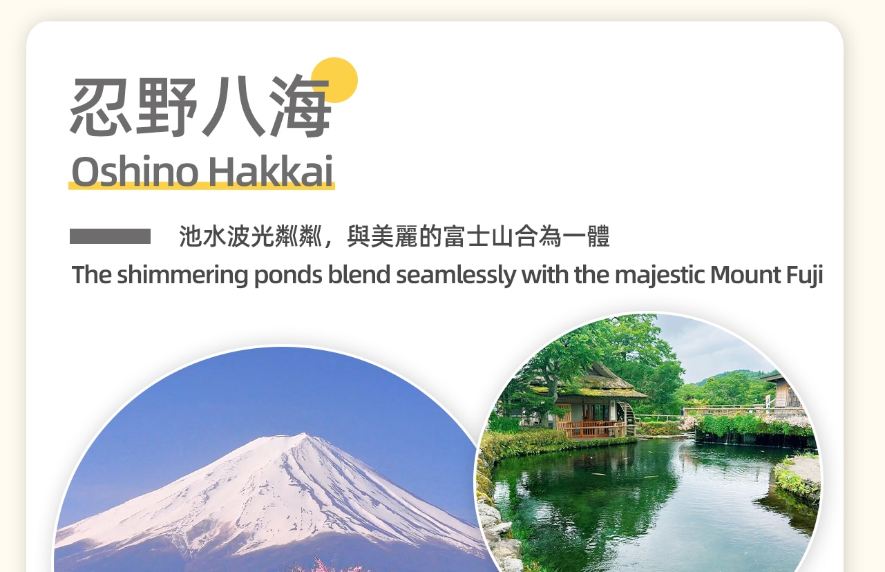 忍野八海位於日本山梨縣,是富士山腳下的八個湧泉統稱。這些泉水清澈透明,源於富士山的融雪,經過地層過濾而成。忍野八海包括御釜池、底拔池、銚子池等,每個池子都有其獨特的傳說和風景。這裡是日本國家指定天然紀念物,亦被列入世界文化遺產。遊客可以欣賞到倒映著富士山的美麗池水,品嚐當地特色美食,感受自然的治癒力量。 忍野八海位於日本山梨縣,是富士山腳下的八個湧泉統稱。這些泉水清澈透明,源於富士山的融雪,經過地層過濾而成。忍野八海包括御釜池、底拔池、銚子池等,每個池子都有其獨特的傳說和風景。這裡是日本國家指定天然紀念物,亦被列入世界文化遺產。遊客可以欣賞到倒映著富士山的美麗池水,品嚐當地特色美食,感受自然的治癒力量。