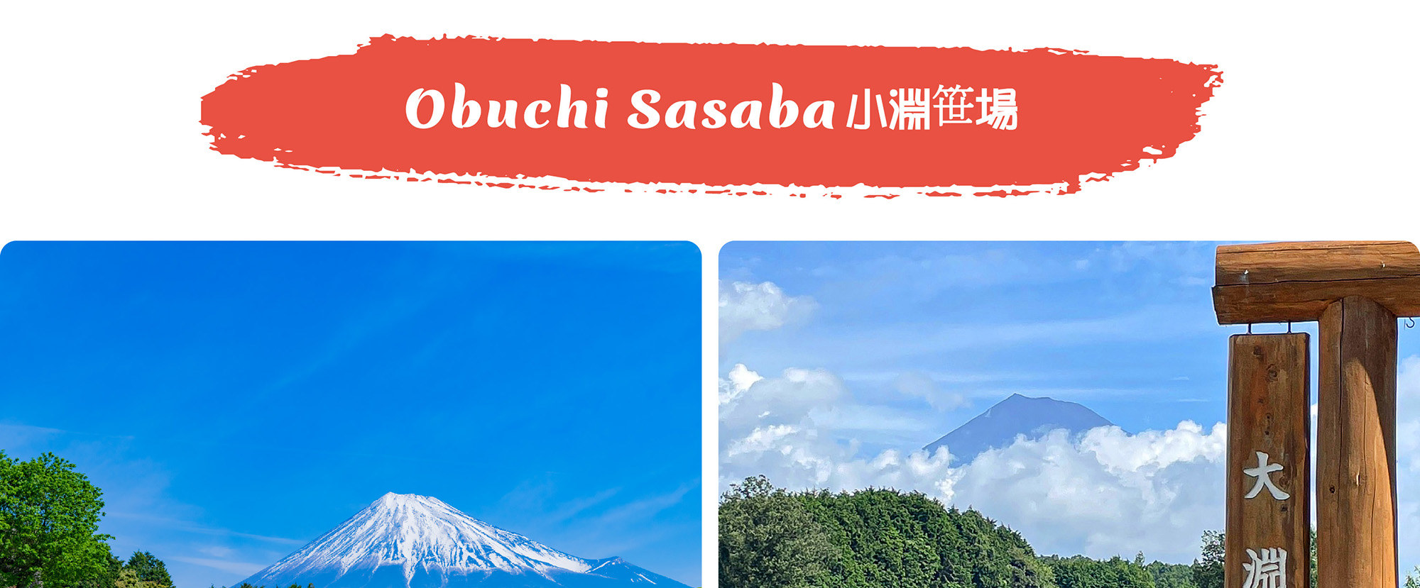 富士山 & 箱根: 大淵笹場/ 忍野八海/ 雕刻之森美術館/ 大石公園/ 大涌谷/ 箱根纜車/ 海賊船 （中/英/韓語導遊）