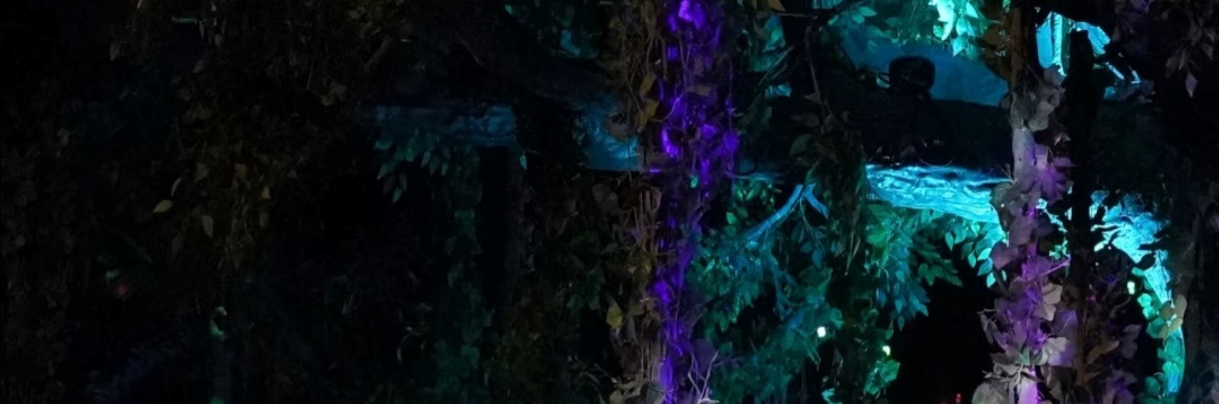 叢林佈景襯民族裝，演員持花互動，柔化戰場外的女性溫情