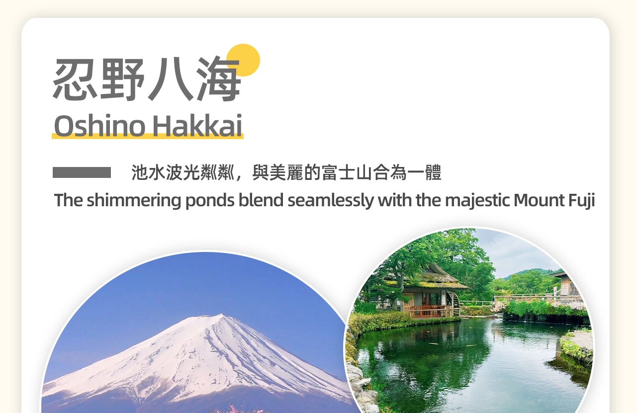 忍野八海，池水波光潾潾，與美麗的富士山合為一體，美不勝收，吸引無數攝影家不遠千里前來取景。忍野八海為國家指定的天然紀念物。