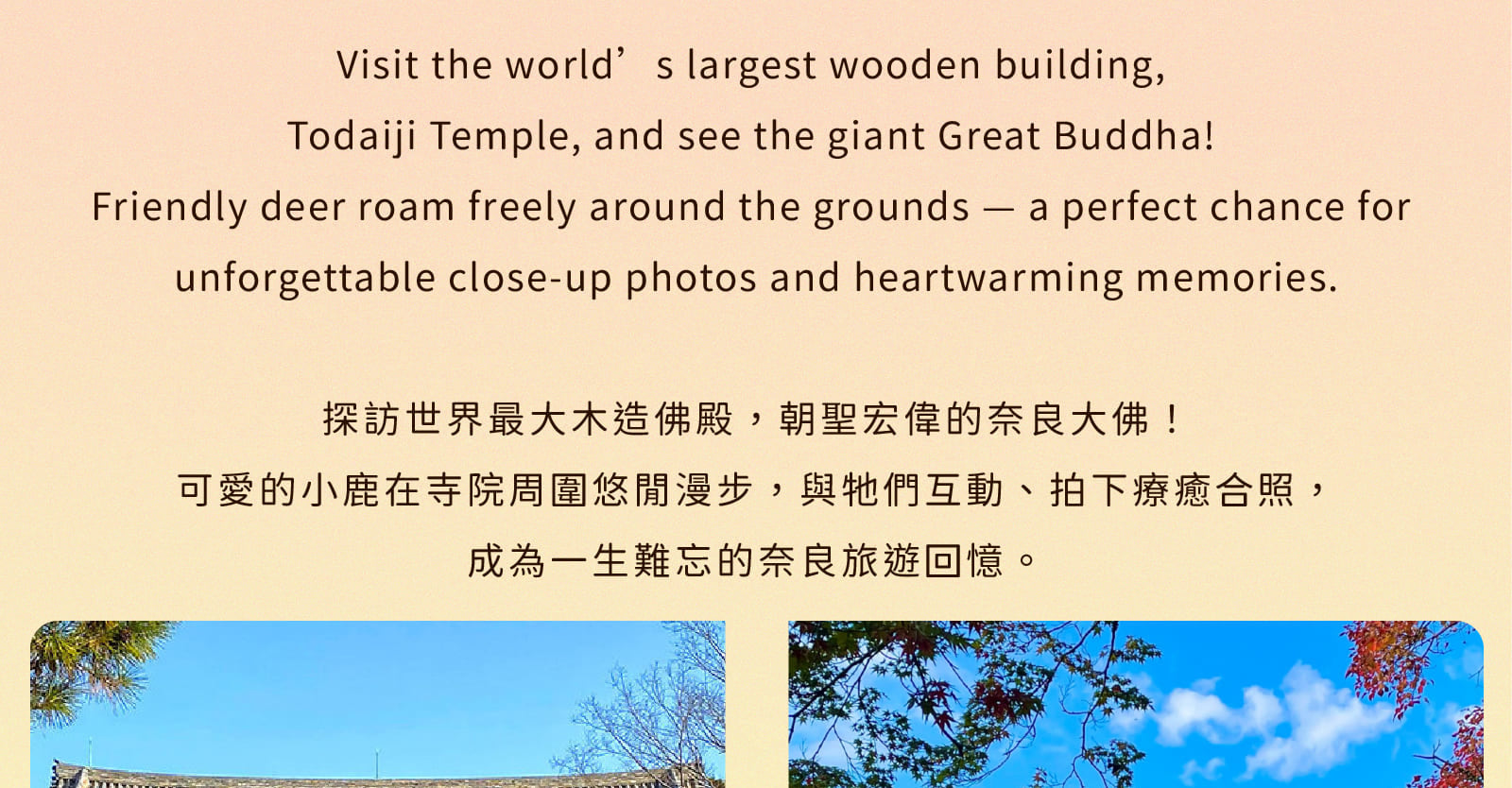 【大阪打卡熱點】勝尾寺 x 箕面瀑布 x 嵐山竹林 x 東大寺一日遊