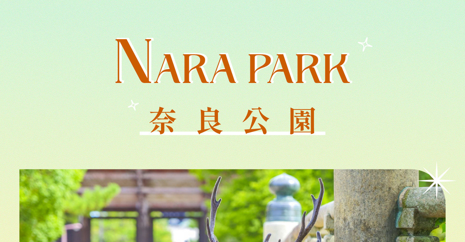 京阪一日遊：嵐山竹林 & 八坂神社 & 花見小路 & 奈良公園 & 東大寺｜大阪出發 