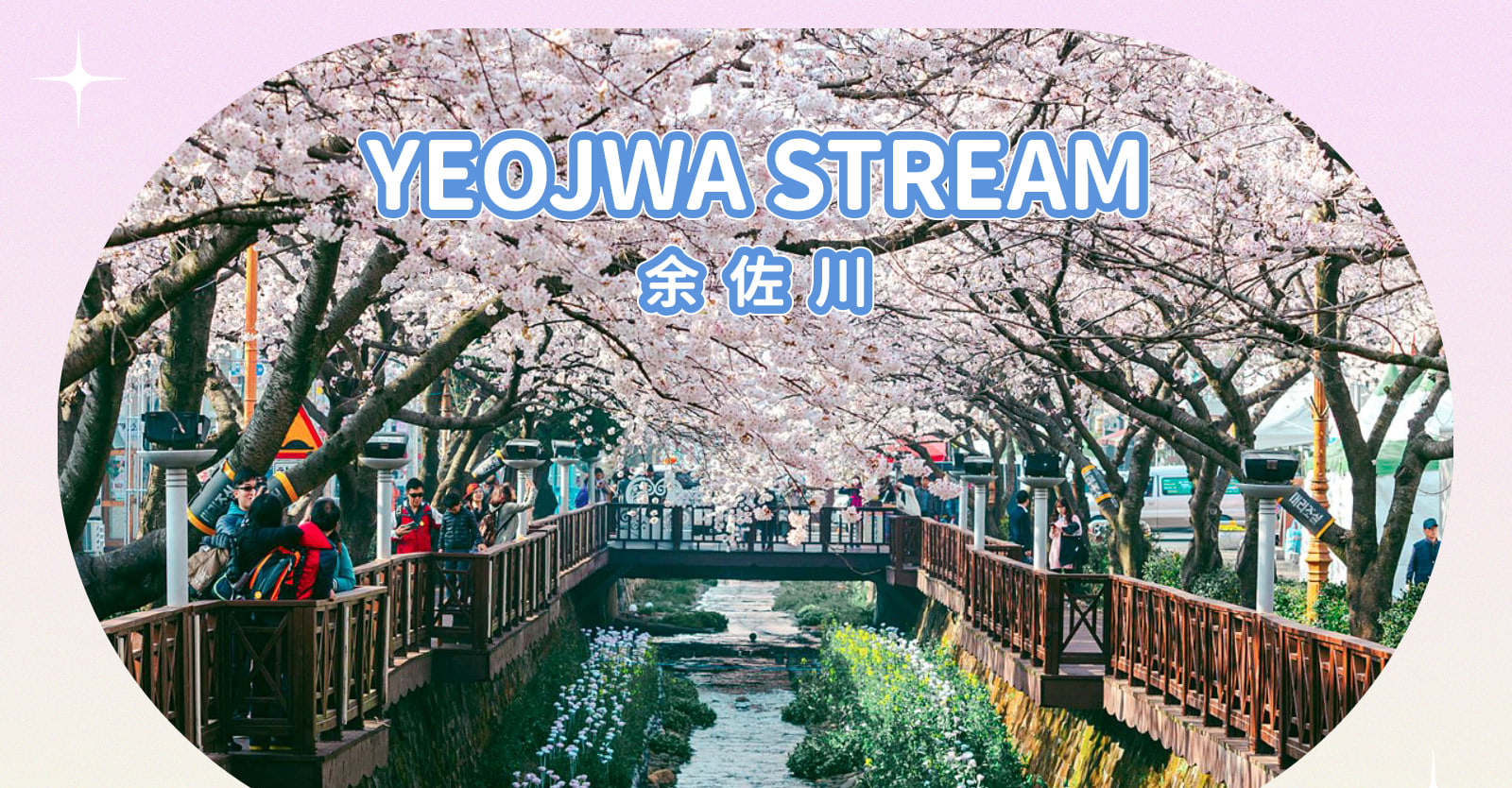 Jinhae Gunhangje Cherry Blossom Festival Day Tour from Seoul/Busan 