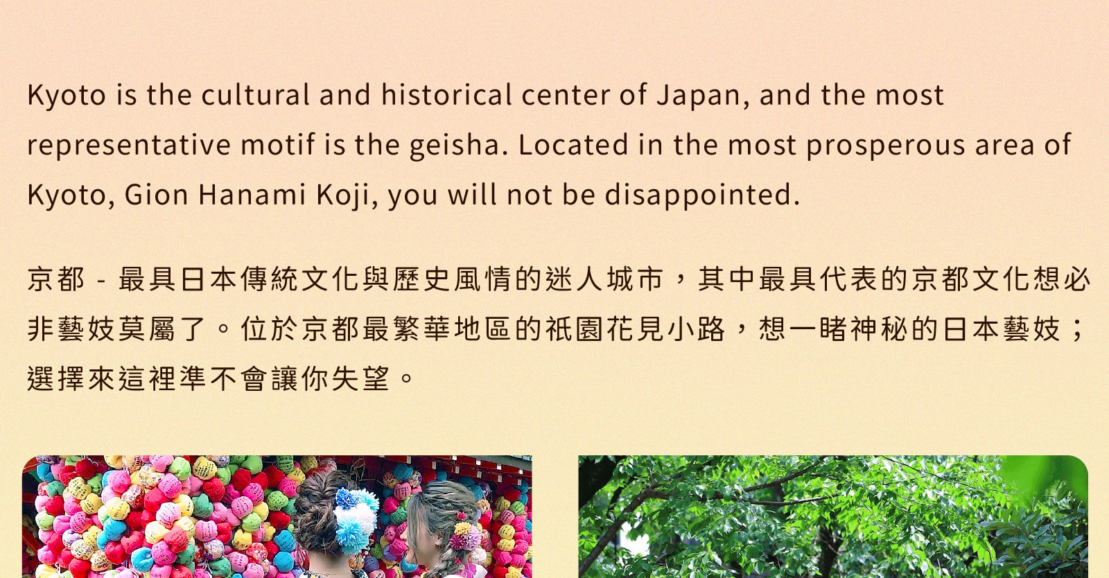 京阪一日遊：嵐山竹林 & 八坂神社 & 花見小路 & 奈良公園 & 東大寺｜大阪出發 