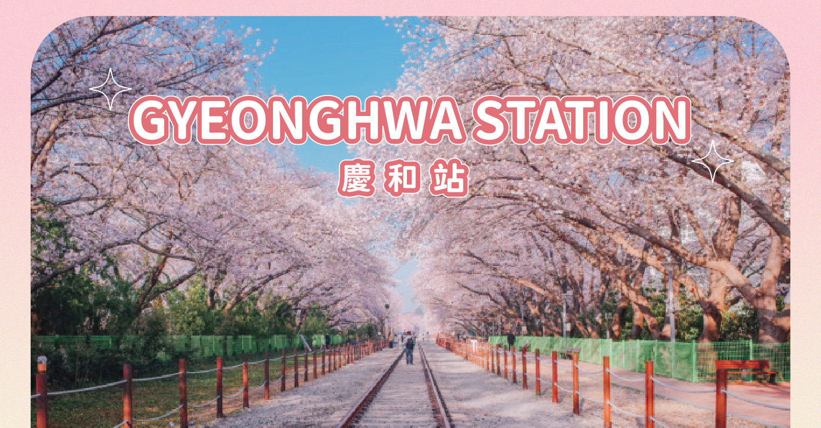 Jinhae Gunhangje Cherry Blossom Festival Day Tour from Seoul/Busan 