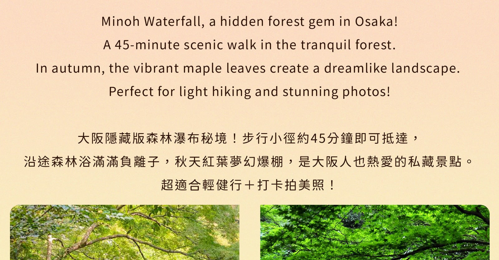 【大阪打卡熱點】勝尾寺 x 箕面瀑布 x 嵐山竹林 x 東大寺一日遊