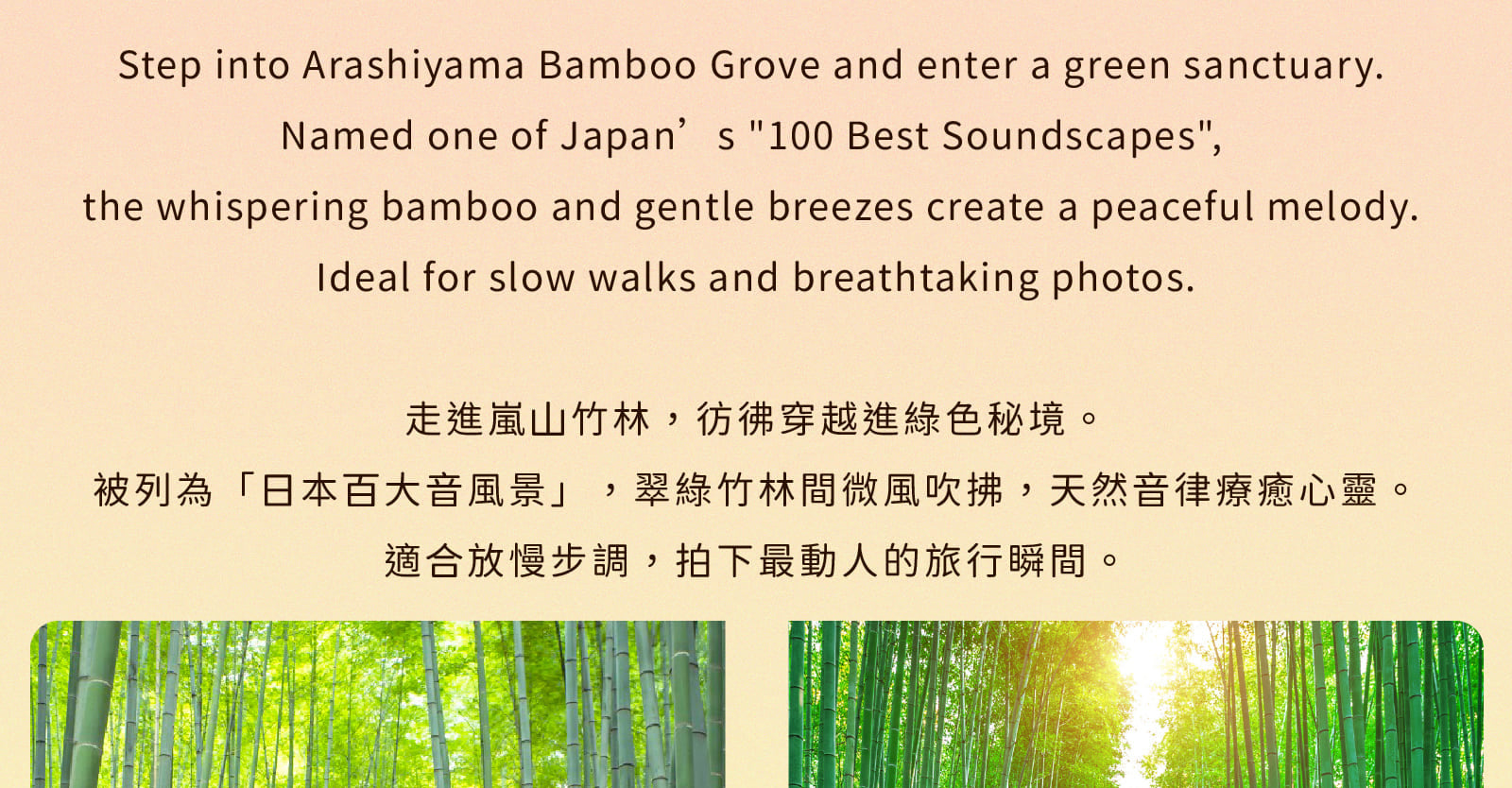 【大阪打卡熱點】勝尾寺 x 箕面瀑布 x 嵐山竹林 x 東大寺一日遊