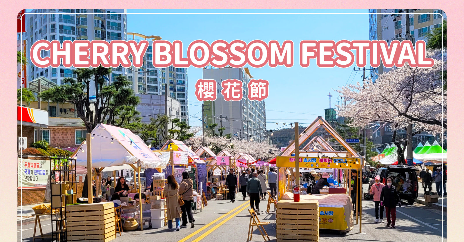 Jinhae Gunhangje Cherry Blossom Festival Day Tour from Seoul/Busan 
