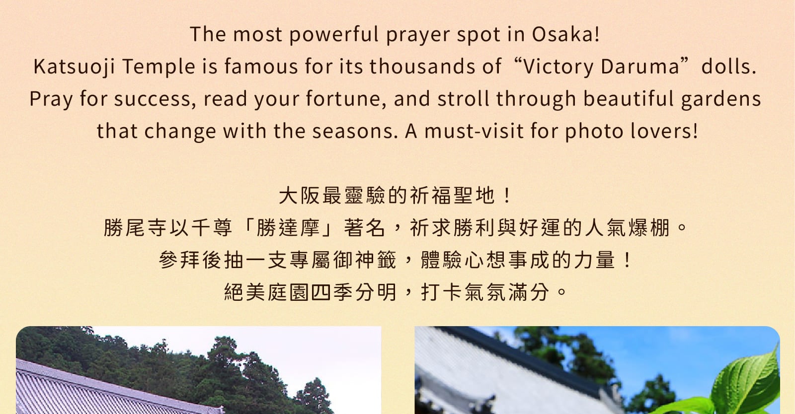 【大阪打卡熱點】勝尾寺 x 箕面瀑布 x 嵐山竹林 x 東大寺一日遊