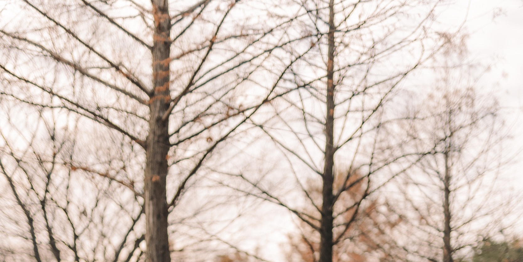 Surprise Proposal photography&planning