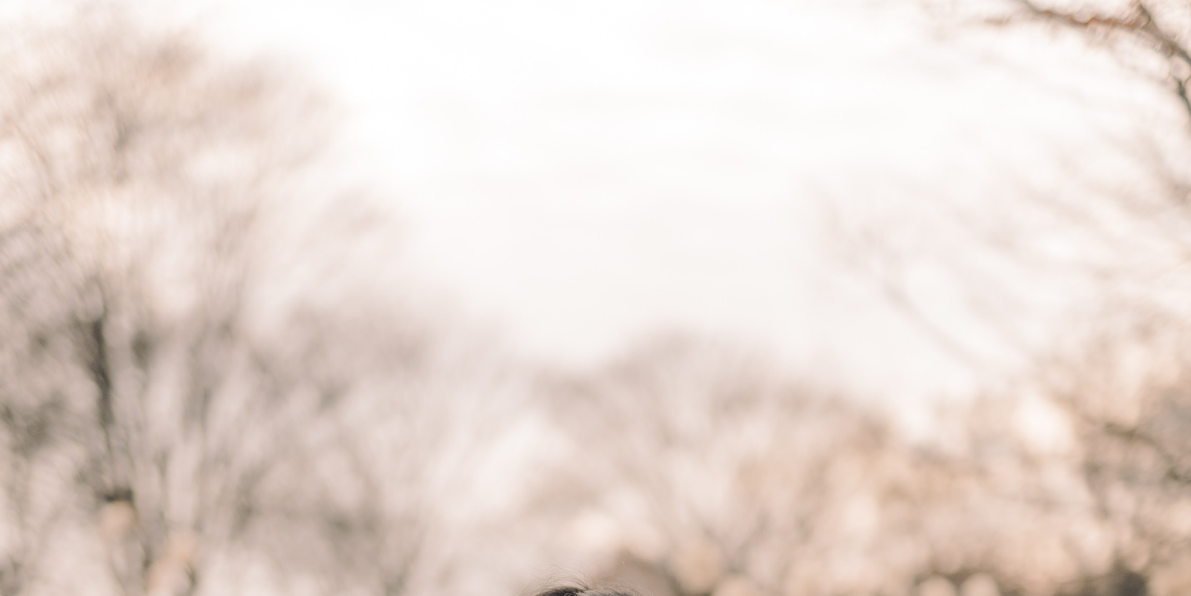 Surprise Proposal photography&planning