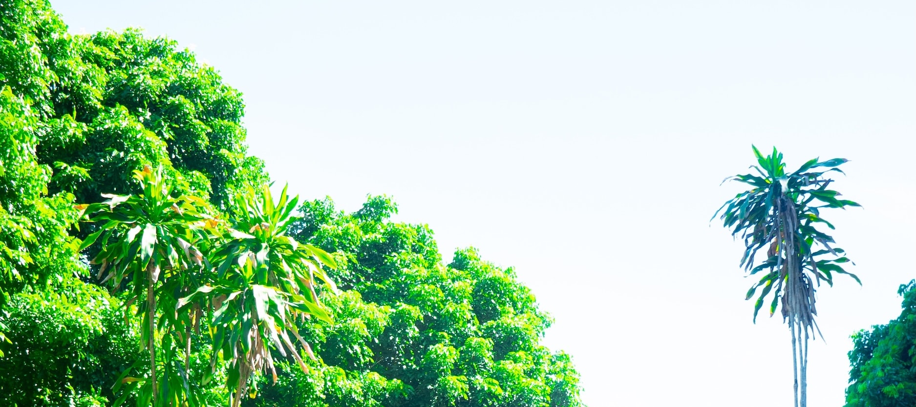A Net Zero Day Tour In Hue