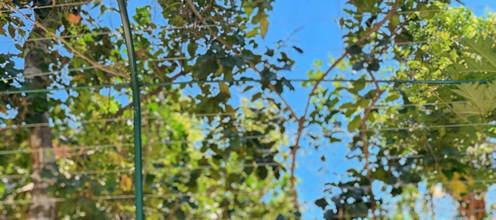 A Net Zero Day Tour In Hue