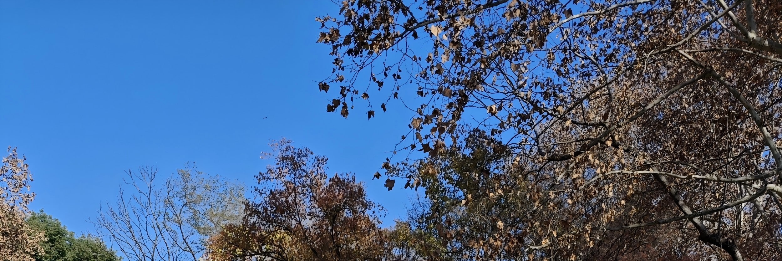 上海經典1日遊（上海新天地+大韓民國臨時政府舊址+虹口公園+海底撈羊肉串+夜遊豫園+城隍廟老街）