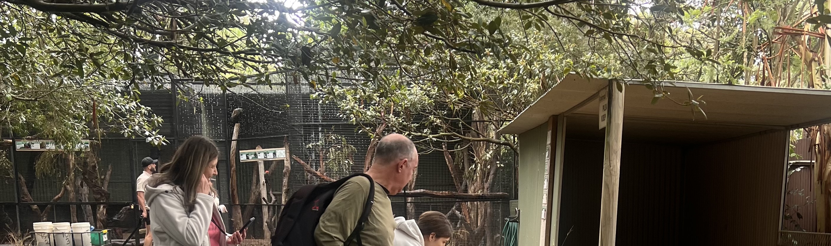 Immerse yourself in nature's beauty on this Blue Mountains walking tour