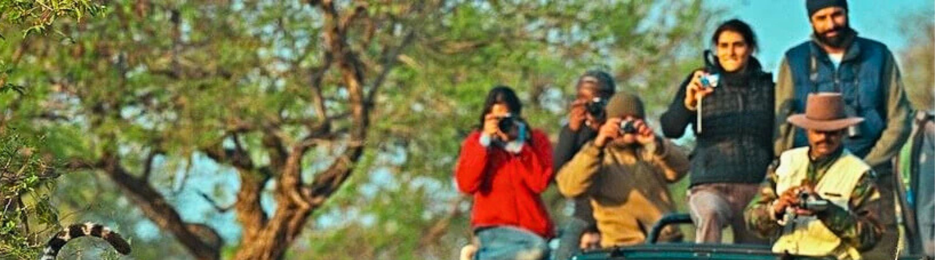 Ranthambore Safari